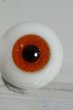 画像3: 20mm/グラスアイ Y-25-12-17-149-YD-ZY (3)