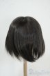 画像2: 8-8.5inchウィッグ Y-25-12-17-079-YD-ZY (2)