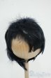 画像1: 9inch/ウィッグ Y-25-12-17-056-YD-ZY (1)