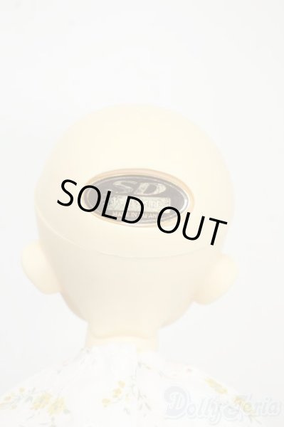 画像8: SDM女の子/クロエ Y-25-12-17-255-YD-ZY (8)