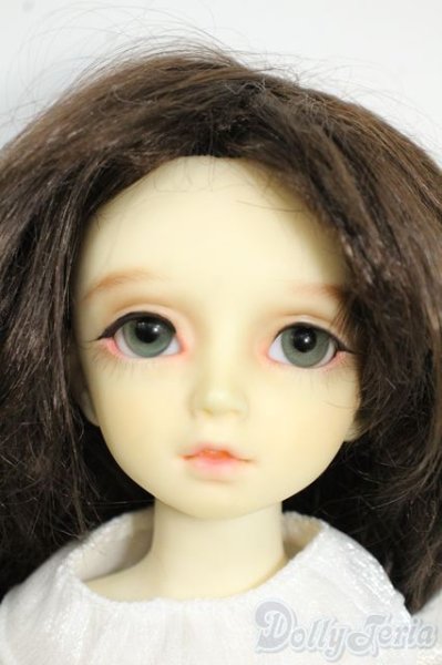 画像1: MSD/F-20ヘッド：フルチョイス Y-25-12-17-258-YD-ZY (1)