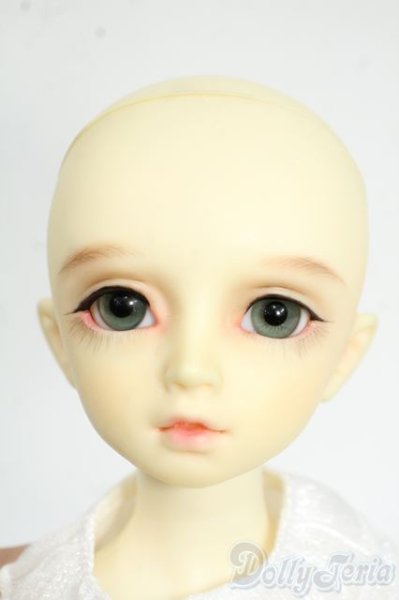 画像8: MSD/F-20ヘッド：フルチョイス Y-25-12-17-258-YD-ZY (8)