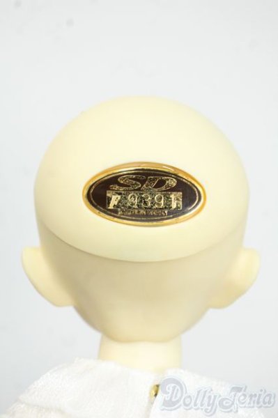 画像9: MSD/F-20ヘッド：フルチョイス Y-25-12-17-258-YD-ZY (9)