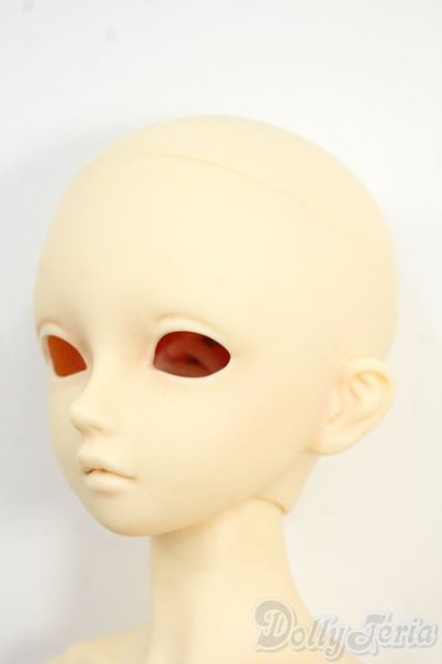 画像3: SDMBOY/フルチョイスF-38 Y-25-12-17-252-YD-ZY (3)