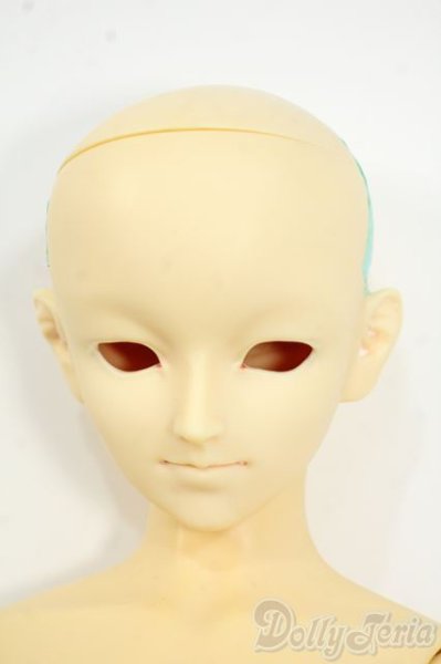 画像1: SD13BOY/フルチョイス:F-29 Y-25-12-17-261-YD-ZY (1)