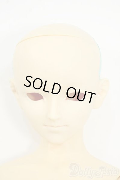 画像1: SD13BOY/フルチョイス:F-29 Y-25-12-17-261-YD-ZY (1)