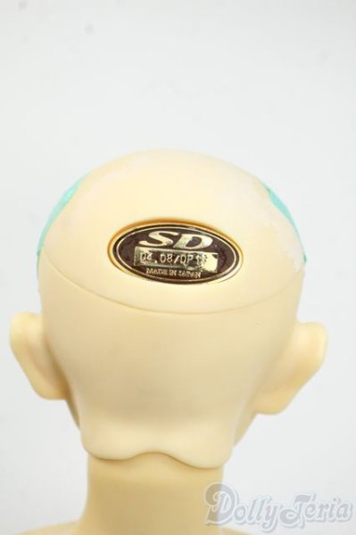 画像6: SD13BOY/フルチョイス:F-29 Y-25-12-17-261-YD-ZY (6)