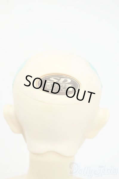 画像6: SD13BOY/フルチョイス:F-29 Y-25-12-17-261-YD-ZY (6)