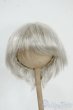 画像1: 9-10inch/ウィッグ Y-25-12-17-210-YD-ZY (1)