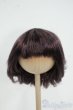 画像1: 8-9inch/ウィッグ Y-25-12-17-247-YD-ZY (1)