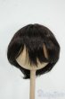 画像1: 8-9inch/ウィッグ Y-25-12-17-249-YD-ZY (1)