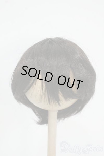 画像1: 8-9inch/ウィッグ Y-25-12-17-249-YD-ZY (1)