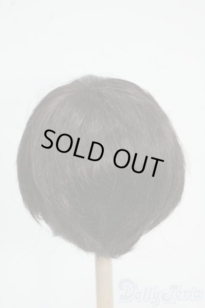 画像2: 8-9inch/ウィッグ Y-25-12-17-249-YD-ZY (2)