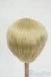 画像2: 8-9inch/ウィッグ Y-25-12-24-139-YD-ZY (2)