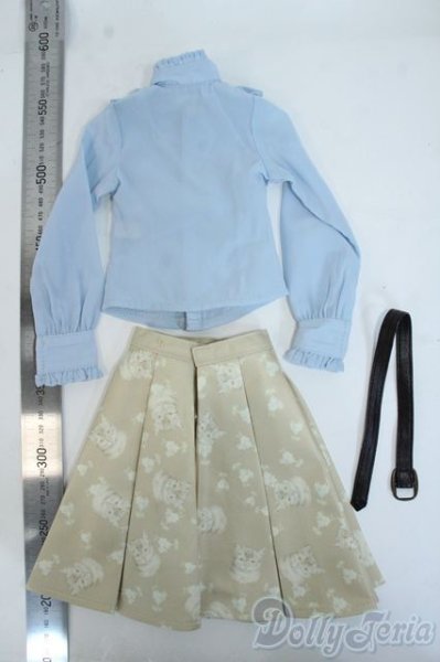 画像2: SD/OF:brow tabby cat skirt set Y-26-01-04-124-YD-ZY (2)