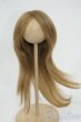 画像1: 9-10inch/ウィッグ Y-26-01-07-022-YD-ZY (1)