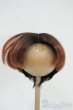 画像1: 9-10inch/ウィッグ Y-26-01-07-091-YD-ZY (1)