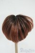 画像2: 9-10inch/ウィッグ Y-26-01-07-091-YD-ZY (2)