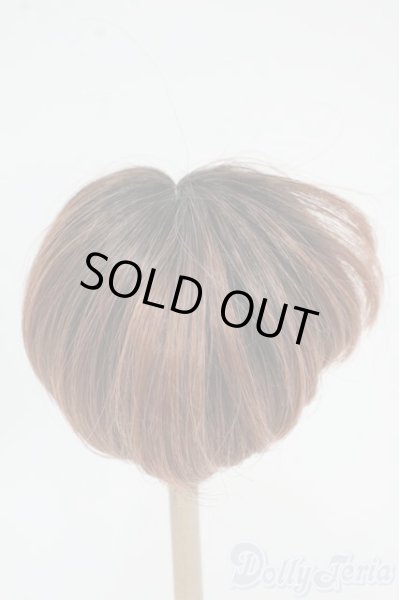 画像2: 9-10inch/ウィッグ Y-26-01-07-091-YD-ZY (2)