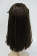 画像2: 8-9inch/KamR様製ウィッグ Y-26-01-14-210-YD-ZY (2)
