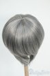画像2: 9-10inch/ウィッグ Y-26-01-21-166-YD-ZY (2)