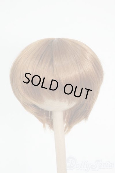 画像1: 7-8inch/ウィッグ Y-26-01-21-184-YD-ZY (1)