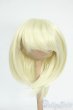 画像1: 7-8inch/ウィッグ Y-26-01-21-185-YD-ZY (1)