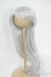 画像1: 9inch/ウィッグ：インソムニア様製 Y-26-01-21-161-YD-ZY (1)