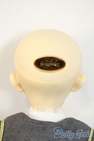 画像6: SDGr男の子/テオ 星間学寮Ver. Y-26-02-04-001-WT-ZY (6)