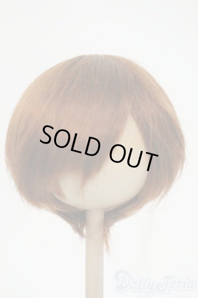画像1: 9-10inch/ウィッグ Y-26-02-04-069-WT-ZY (1)