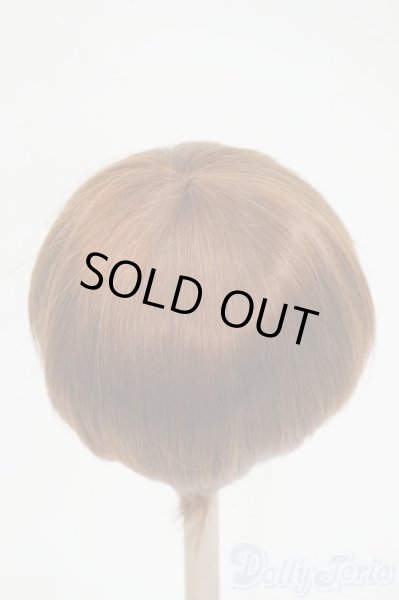 画像2: 9-10inch/ウィッグ Y-26-02-04-069-WT-ZY (2)