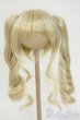 画像1: 9inch/ウィッグ Y-26-02-04-112-WT-ZY (1)