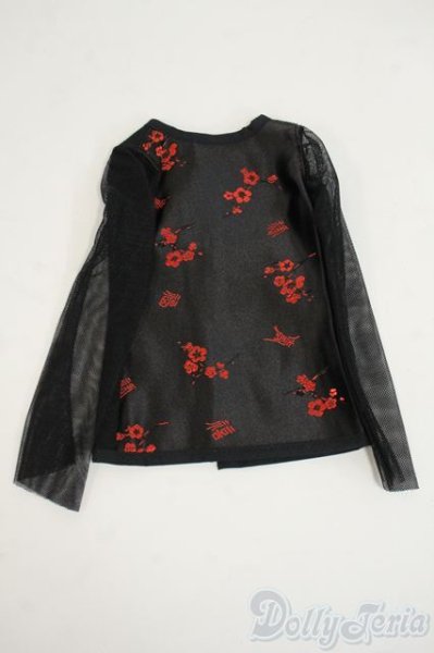 画像1: SD17B/OF:トップス Y-26-02-04-235-WT-ZY (1)