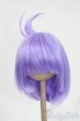画像1: 8-9inch/ウィッグ Y-26-02-11-112-WT-ZY (1)
