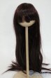 画像1: 8-9inch/ウィッグ Y-26-02-11-111-WT-ZY (1)