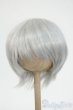 画像1: 8-9inch/ウィッグ Y-26-02-11-275-WT-ZY (1)