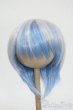 画像1: 8-9inch/ウィッグ Y-26-02-11-276-WT-ZY (1)