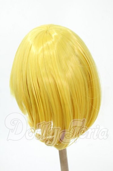 画像2: 8-9inch/ウィッグ Y-26-02-18-171-WT-ZY (2)