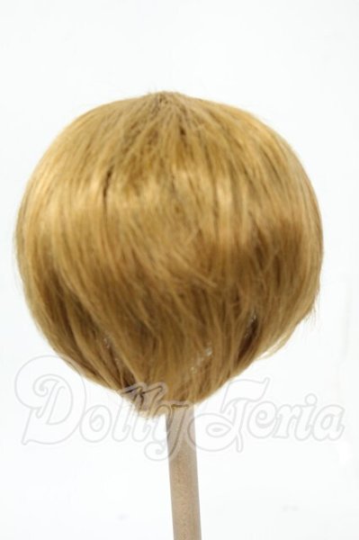 画像2: 9-10inch/ウィッグ Y-26-02-18-187-WT-ZY (2)