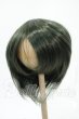 画像1: 9-10inch/ウィッグ Y-26-02-18-186-WT-ZY (1)