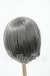 画像2: 9-10inch/ウィッグ Y-26-02-18-191-WT-ZY (2)