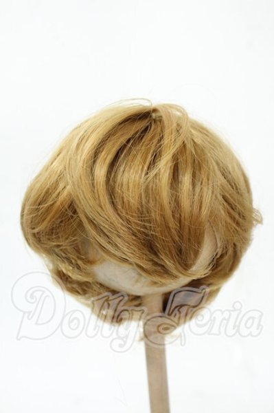 画像1: 8-9inch/ウィッグ Y-26-02-18-197-WT-ZY (1)