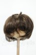 画像1: 8-9inch/ウィッグ Y-26-02-18-198-WT-ZY (1)