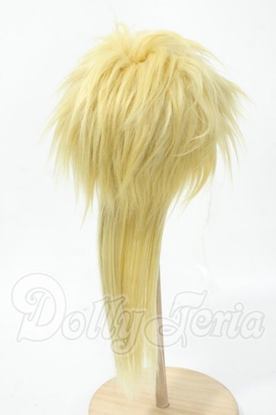 画像2: 8-9inch/ウィッグ Y-26-02-18-200-WT-ZY (2)