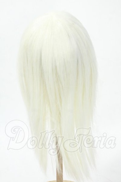 画像2: 8-9inch/ウィッグ Y-26-02-18-158-WT-ZY (2)