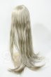 画像2: 8-9inch/ウィッグ Y-26-02-18-161-WT-ZY (2)