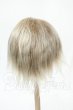 画像2: 8inch/ウィッグ Y-26-02-18-175-WT-ZY (2)