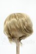 画像1: 7-8inch/ウィッグ Y-26-02-18-146-WT-ZY (1)