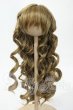 画像1: 7-8inch/ウィッグ Y-26-02-18-145-WT-ZY (1)