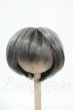 画像1: 6-7inch/ウィッグ Y-26-02-18-122-WT-ZY (1)